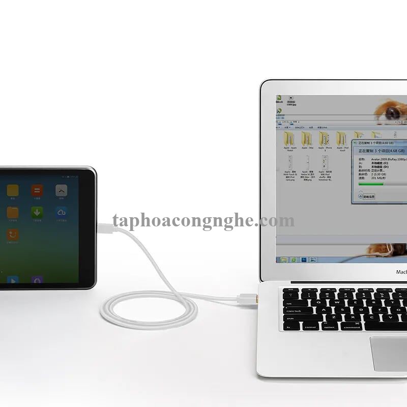 Ugreen 30164 0.5M màu Trắng Dây USB 2.0 sang Type-C truyền dữ liệu và sạc US141 30030164